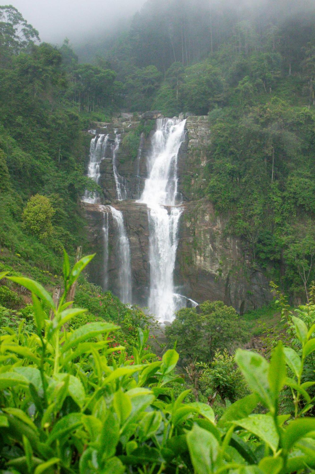 Ramboda Falls Plc Esterno foto